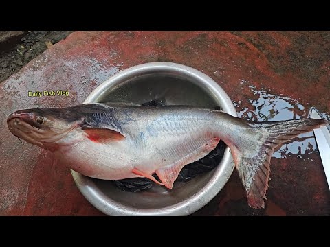 Amazing Great Delicious Pangas Fish Cutting Techniques | Fish Cutting Skills