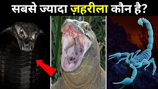 कोन है दुनिया का सबसे ज़हरीला जीव। Wildlife Adventure In हिन्दी