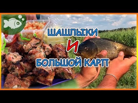 ШАШЛЫЧКИ НА ОЗЕРЕ ПОЙМАЛИ КАРПА
