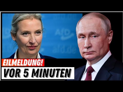 Putin über die AfD und den Vorfall mit Alice Weidel‼️