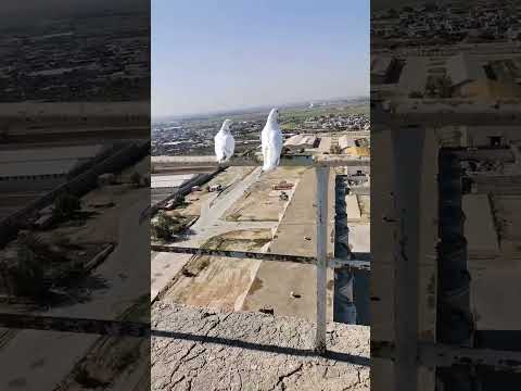 صيد ثنين طبك بشكفه وحده ثنينهن شتركو بقناتي #ارافل #ولاية_بطيخ