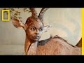 Understanding Taxidermy and Artistic Expression