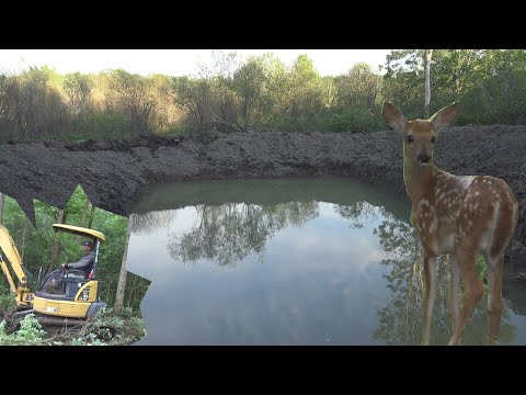 DIGGING A POND AND FINISHING UP