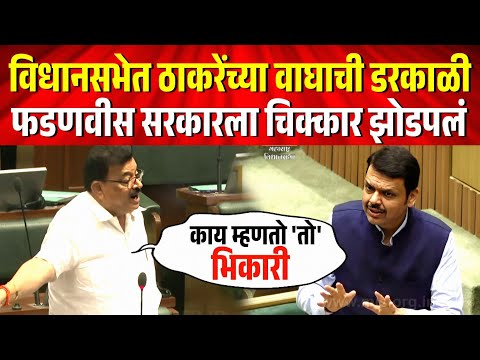 विधानसभेत ठाकरेंच्या वाघाची डरकाळी, फडणवीस सरकारला चिक्कार धुतलं ! Bhaskar Jadhav Vidhansabha Speech