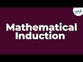 Inductive Proof Concepts and Applications
