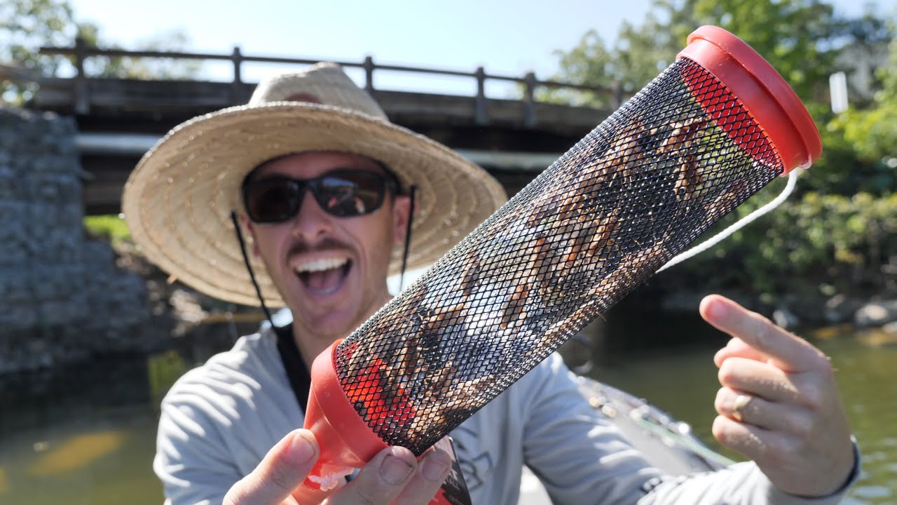 Fishing LIVE Crickets for Spawning Bluegill (Ultra Light Tackle)