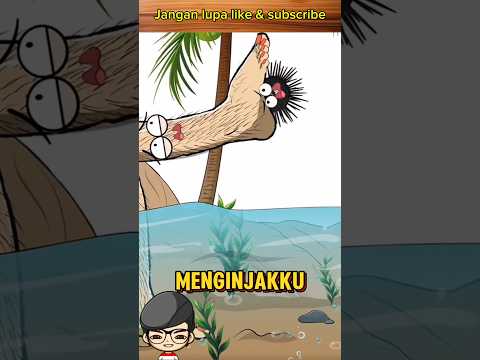 Berhati hatilah dengan binatang yang satu ini!