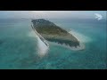 Heron Island Tourism and Conservation