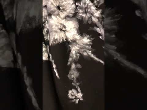 Soul Emotion by Vanna