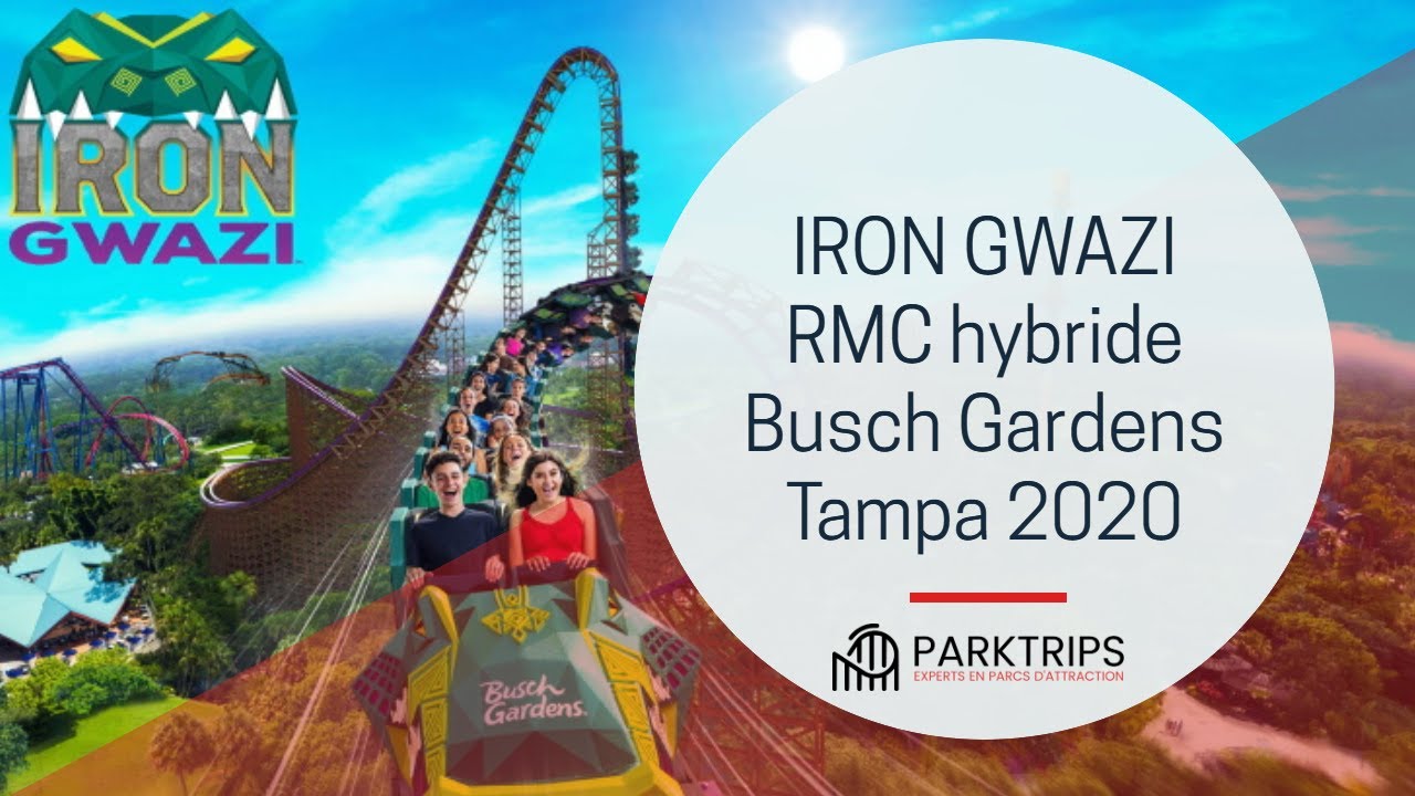 Iron Gwazi à Busch Gardens Tampa, Floride en 2020