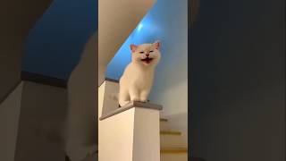 Funny baby cute 👼❤️👧🥰😻