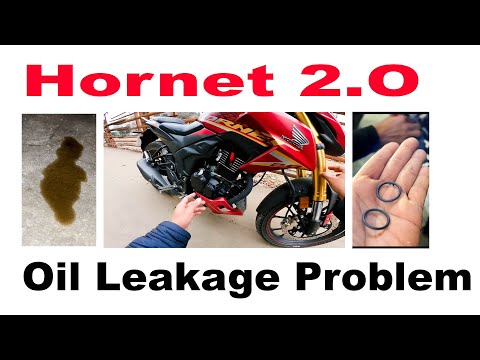 Hornet 2 অয়েল লিকেজ সমস্যা ও তার সমাধান | MSI Vlogs |