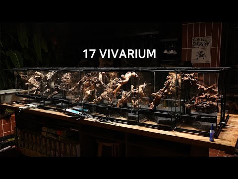 비바리움17개 만들기 | Make 17 vivariums