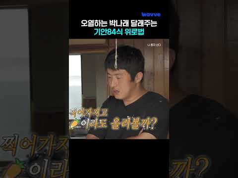 위로가 서툰 INTP 오빠들💦