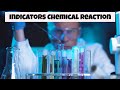 Indicators of Chemical Reactions