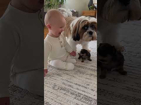 Que hermoso😍#viral #humor #risas #tendencia