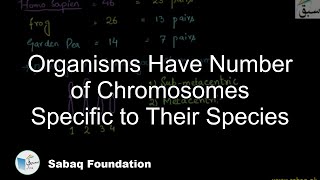 Organisms Have Number of Chromosomes Specific to Their Species