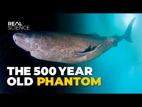 The Insane Biology of: The Greenland Shark