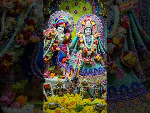 #motivational #love #facts