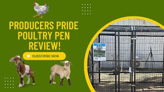 NEW Producer's Pride Chicken Coop | Install and Review - Is it worth it?