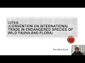 CITES and International Conservation