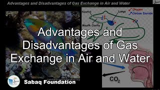 Advantages and Disadvantages of Gas Exchange in Air and Water