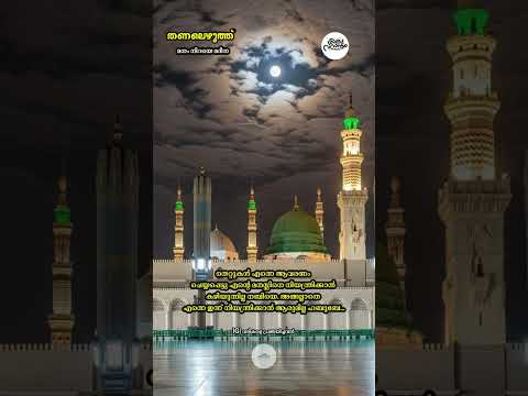 തണലെഴുത്ത് - 240 മനം നിറയെ മദീനാ | #muthnabiﷺ #mrs_rak #madina #foryou #തണലെഴുത്ത് #madhsong