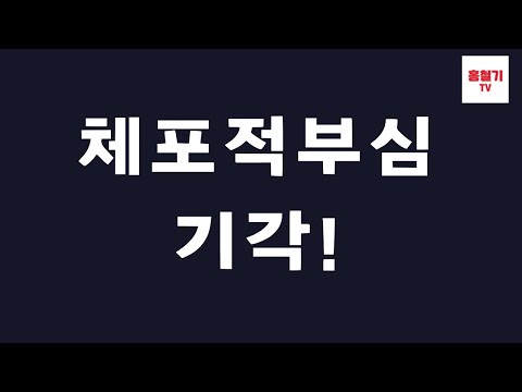 (긴급속보) 체포적부심 기각