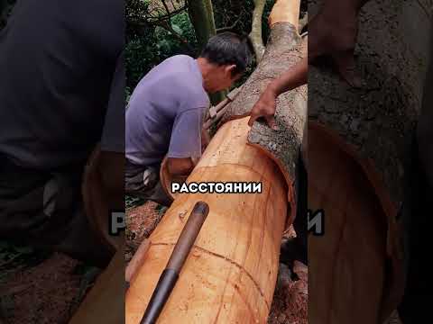 #реальнаяистория