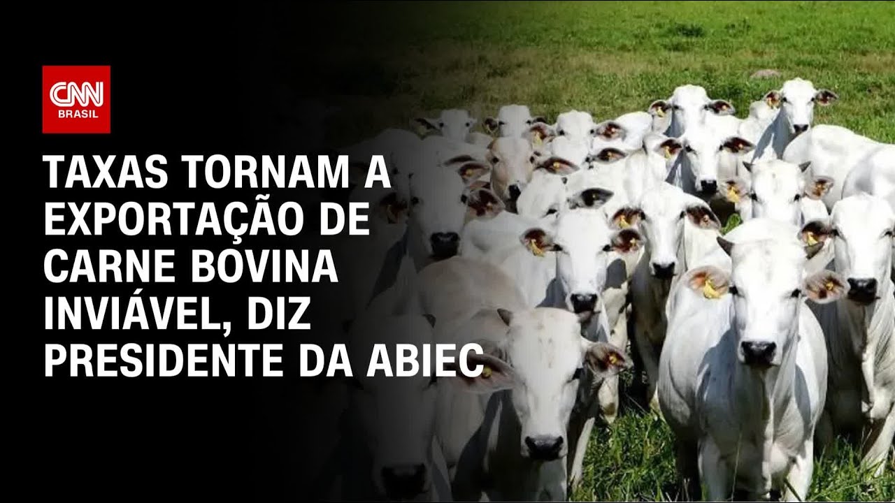 Taxas inviabilizam a exportação de carne bovina aos EUA diz presidente da Abiec | CNN PRIME TIME