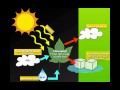 Exploring Photosynthesis and Respiration