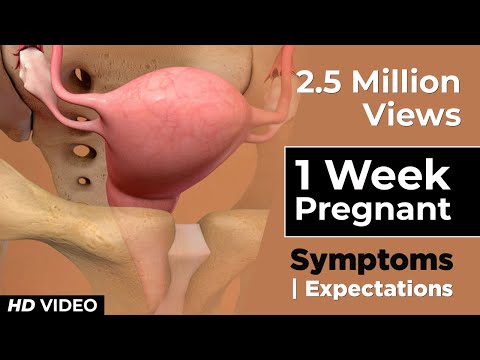 1 Week Pregnant Baby Development - Pregnancy Symptoms Week by Week #pregnancyjourney