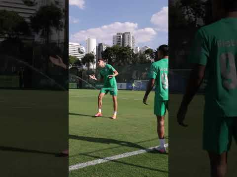 image para ilustrar o artigo