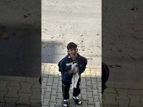Yiğit Annesini Kıskanıp Kedimi Dışarı Attı Dövdüm #shortsvideo #sorts #comedy #trending