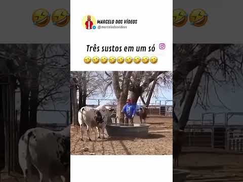 que susto kkk