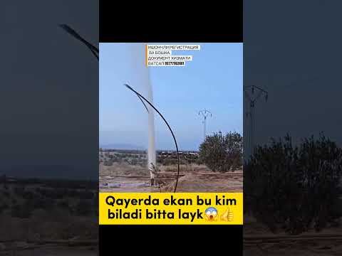 КАЙЕРДА ЭКАН БУ КИМ БИЛАДИ😱👍 #youtube #like #subscribe #trending #rek #funny #viralvideo #trend