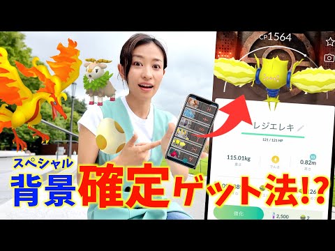 確定で背景付きレジ伝説を出す方法！？ガラル三鳥のタイムチャレンジが・・・過去の残像イベント初日レポート！！【ポケモンGO】