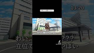 【猫ミーム】激動の連勤終わりのルーティンーそしてまた働く編ー #vtuber #保護猫 #病院 #猫ミーム #医師解説 #cat #猫のいる
