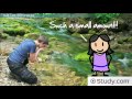 Exploring Screen Recording Techniques with ScreenCastify