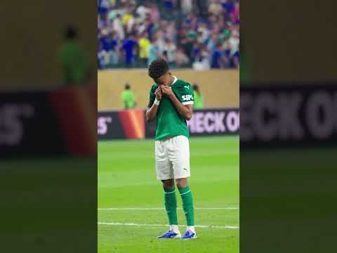 image para ilustrar o artigo