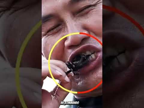 कठोर ट्रेनिंग cobra commando shorts video 🇮🇳 motivational trening|AN_VOMMANDO