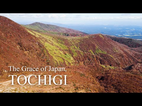 Exploring Tochigi’s Highlights