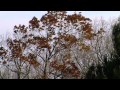 Climate Change Vulnerability Assessment