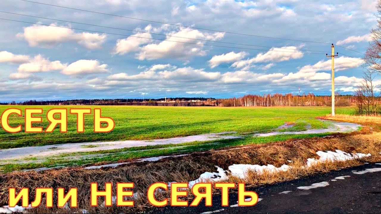 Погода сошла с ума, что можно сажать?