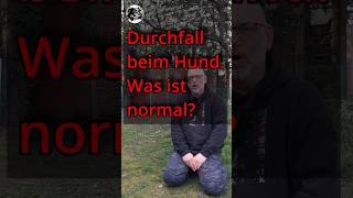 💩Hilfe, mein Hund hat Durchfall!