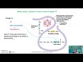 Protein Structure and Function Concepts