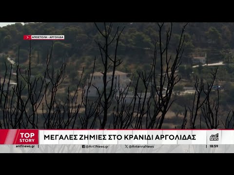 Ανυπολόγιστες ζημιές σε καλλιέργειες από τη φωτιά στο Κρανίδι Αργολίδας