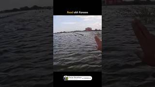 😱Flood🌊