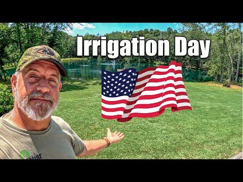 Best Replacement Lawn Irrigation Head