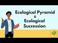 Ecosystem Dynamics and Energy Flow